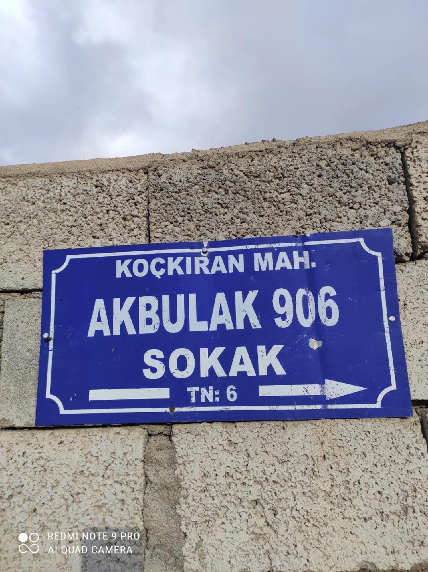 Dede Sebo Cay Bahcesi + *